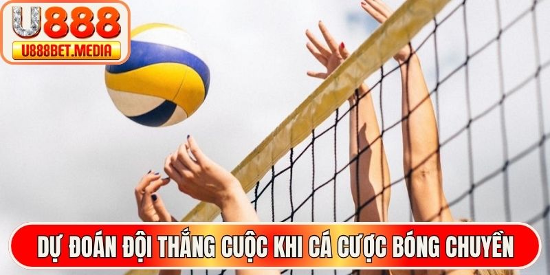 Dự đoán đội thắng cuộc khi cá cược bóng chuyền